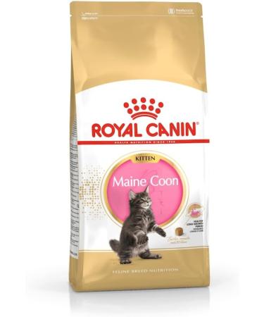 Royal Canin Maine Coon Kitten Dry Cat Food 4 x 400g - Buy Online on GoSupps.com