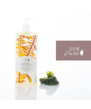 Kelp & Mint Volumizing Shampoo - Purifying Deep Detox for Dry, Damaged Hair - Promotes Healthy Growth - Sulfate Free - 13 Fl Oz - Buy Online on GoSupps.com