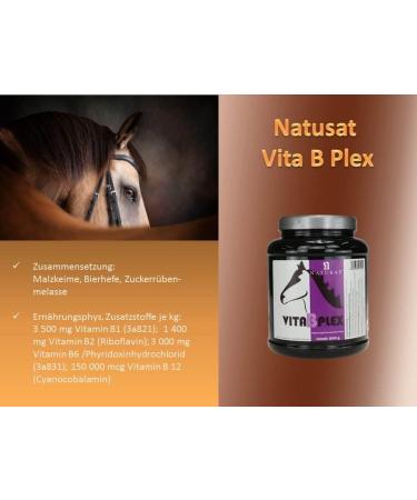 NATUSAT Vita B Plex Pellets 1000g | Premium Vitamin B for Horses | International Shipping Available - Buy Online on GoSupps.com