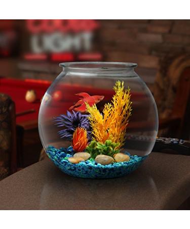 Buy Koller Products Panaview 1-Gallon Globe Fish Bowl - Stylish Home Aquarium - Buy Online on GoSupps.com