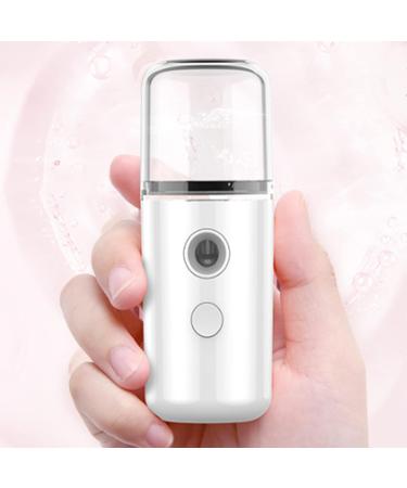 Pulv risateur de Brume Faciale Nano Taille de Poche d'humidificateur de Visage d'eau Apparence Simple Logement d'ABS Absorption Facile pour le (Blanc) - Buy Online on GoSupps.com