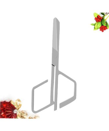 iPetboom Nose Hair Trimmer | Stainless Steel Facial Hair Remover Tool | Vibrissae & Eyebrow Grooming - International Shipping Available - Buy Online on GoSupps.com