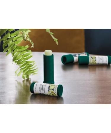 The Body Shop OLIVE Nourishing Lip Care - Moisture for Dry Lips 4.2g - Buy Online on GoSupps.com
