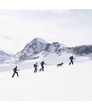 Trekking Belt by Nonstop | Running & Jogging Belt for Dogs (M Blue) - Ideal Hiking Accessory - Buy Online on GoSupps.com