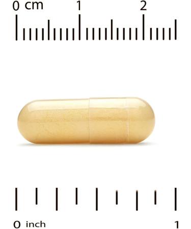 EuroHerbs Milk Thistle Extract Compatible With California Gold Nutrition Euromed Quality 175 mg 60 Veggie Capsules + Bonus Pill Organizer Weekly Pill Organizer Mini - Buy Online on GoSupps.com