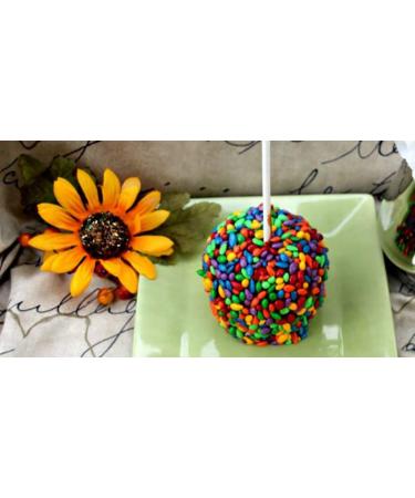 Chocolate Covered Sunflower Seeds Multicolored Candy Coated Treats - Rainbow Party Favors - Pack of 3 - Buy Online on GoSupps.com