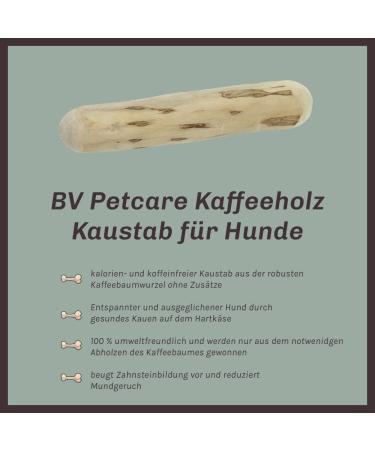 BV Petcare Coffee Wood Chewing Bones - Natural Dog Toy Set (3 Pieces) for Dogs up to 45 kg - Eco-Friendly & Durable - Buy Online on GoSupps.com
