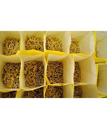 Buy Martelli Spaghetti 1kg - Authentic Italian Pasta | International Shipping Available - Buy Online on GoSupps.com