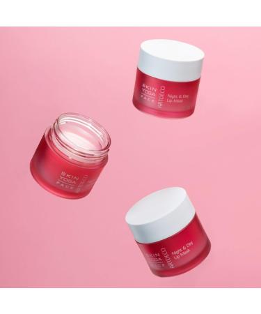 ARTDECO Night & Day Lip Mask intensively caring and regenerating lip mask with rose scent 1 x 20 ml - Buy Online on GoSupps.com