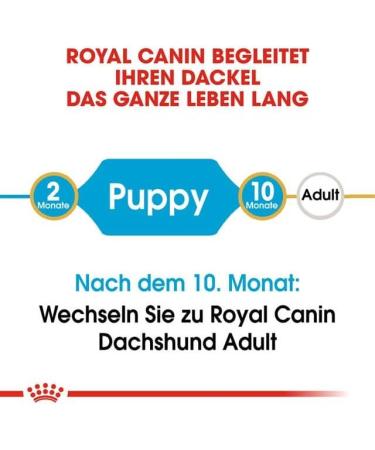 Royal Canin Dog Food Dachshund Puppy Dry Mix 1.5kg - Buy Online on GoSupps.com