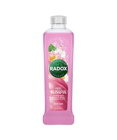 Radox Bath 500ml Feel Blissful