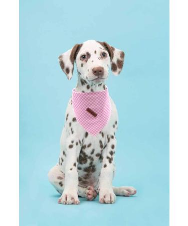 Lionet Paws Large Pink Grid Dog Bandana - Washable Cotton Scarf for Small Medium Large Dogs - Buy Online on GoSupps.com