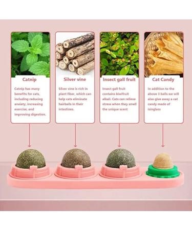 Buy Starroad-Tim Catmint Wallball for Cats | Natural Teeth Cleaning & Eating Toy - International Shipping Available - Buy Online on GoSupps.com