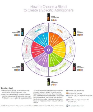 doTERRA Aromatherapy System Touch Kit - 6 Essential Oil Roll-ons (10 mL) for Stress Relief & Wellness | International Shipping Available - Buy Online on GoSupps.com