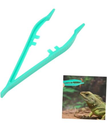 FOMIYES 40 Pcs Animals Feeding Clamp Reptile Feeding Clip Scorpion 20pcsx2pcs Greenx2pcs - Buy Online on GoSupps.com