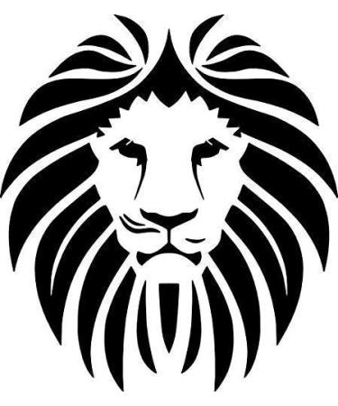 Model's Mane Copper Keratin Hair Spray Treatment - Buy Online on GoSupps.com