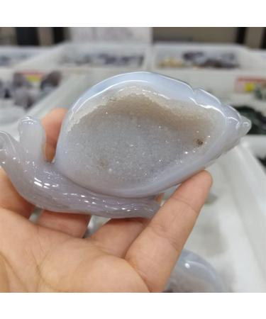 Home Decor Snail Natural Nao Amethyst Crystal Cluster Stone Specimen Home Crafts Decoration Gift Geode Gifts Natural Crystal Draw yuebang Stone Mineral Specimen - Buy Online on GoSupps.com
