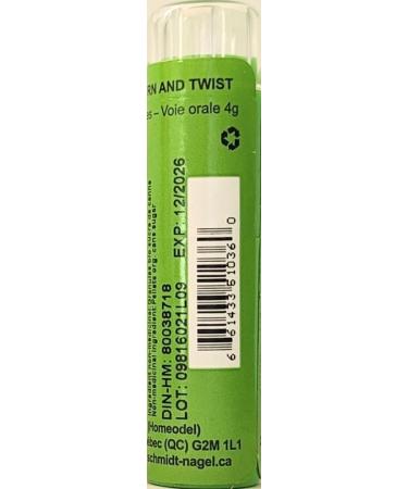Antimonium Crudum 1M (MK) Homeopathy Medicine Schmidt-Nagel Canada (Homeodel) 90 pellets/granules - Buy Online on GoSupps.com