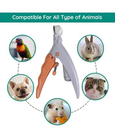WisePatch LED Dog Nail Clipper with Safety Guard and Nail File - Sharp Blade Trimmers for Grooming Dog and Cat - Buy Online on GoSupps.com