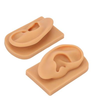 Dauerhaft Flexible Silicone Right Ear Model - Ideal for Display, Prevents Damage - Clear Structure - Buy Online on GoSupps.com