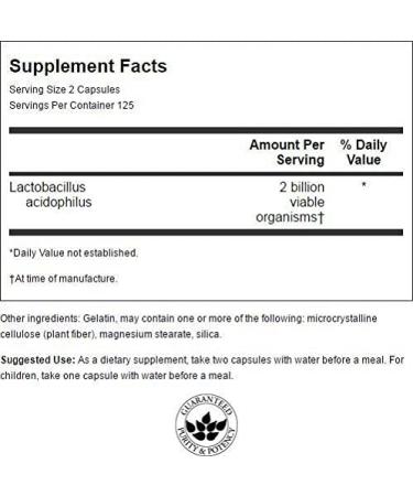 Swanson Lactobacillus Acidophilus Probiotic Supplement - 1 Billion CFU - 250 Capsules - Digestive Health Support - Buy Online on GoSupps.com