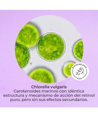  Segle Clinical Segle Clinical | Pure Retinol Serum | Global Antiaging | Anti-wrinkle with pure retinol and marine retinol | 30 ml - Buy Online on GoSupps.com