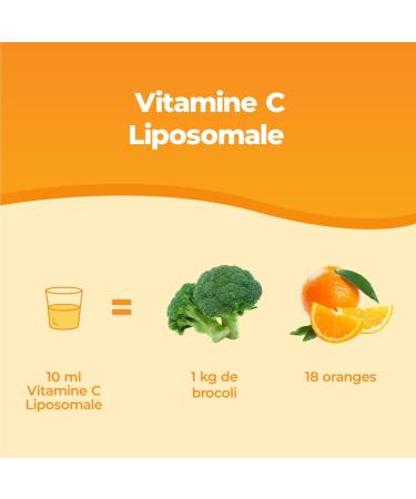 Bandini Vitamine C Liposomale 1000 mg - Compl ment Liquide 250 ml - Dosage Puissant et Absorption Maximale - Syst me Immunitaire & Fatigue - 100% Vit C Acide Ascorbique Biodisponible - Vegan Non-GMO - Buy Online on GoSupps.com