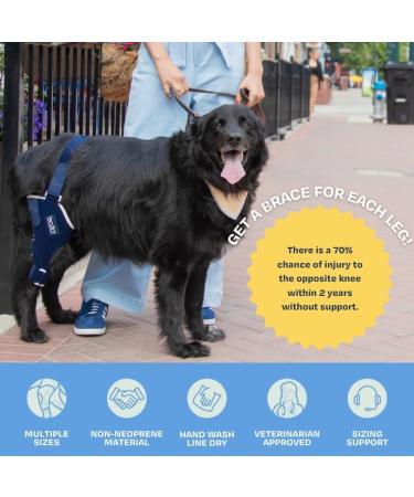 Balto Jump CCL Brace for Dogs - Large Left Leg Knee Support with Aluminum Splints - Pre/Post Surgery Injury Prevention - Buy Online on GoSupps.com