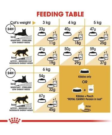 Royal Canin Persian Adult Dry Cat Food 4 x 400g - Buy Online on GoSupps.com