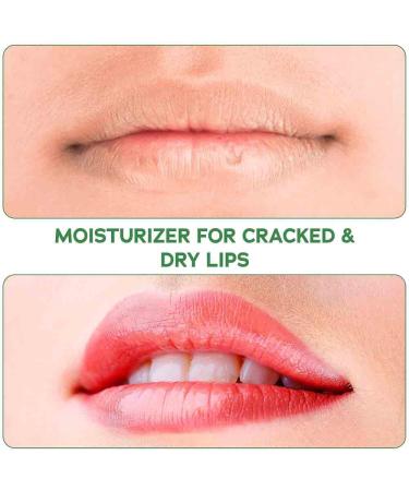 OrganiLip Tinted Lip Balm Moisturizer - Natural Moisturizer for Cracked & Dry Lips - All-Day Ultra Moisturizing Lip Care for Kids and Adults - Shimmer Pink Champagne Crimson Plum Colors - 4 Pack - Buy Online on GoSupps.com