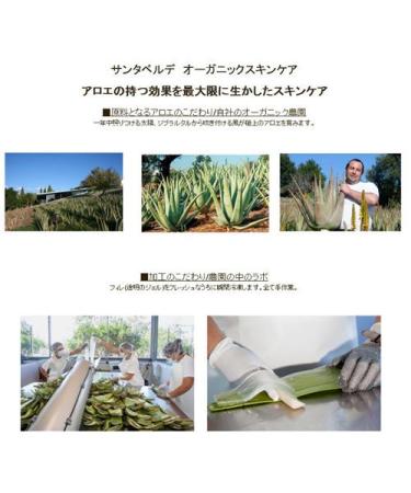 Santaverde Aloe Vera Eye Cream Unscented | Soothing Hydration for All Skin Types | International Shipping Available - Buy Online on GoSupps.com