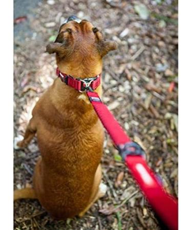 EZYDOG Double Up Reflective Dog Collar | Medium Camo | Small Medium Large Dogs | Neoprene & Nylon | Green Camouflage - Buy Online on GoSupps.com