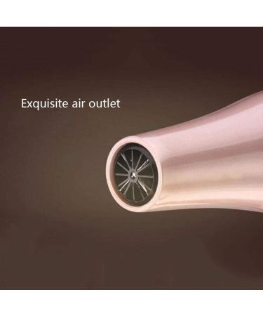 Professional Hair Dryer 3000W AC Motor Negative Ionic Technology Blow Dryer with 3 Heat & 2 Speed Setting and Cool Shot Button Included Concentrator Nozzle 2.0m Long Cable for Men and Women small gift - Buy Online on GoSupps.com