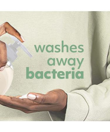 Softsoap Antibacterial Sensitive Rosewater & Aloe Hand Soap 11.25 Oz - 6 Pack - Buy Online on GoSupps.com