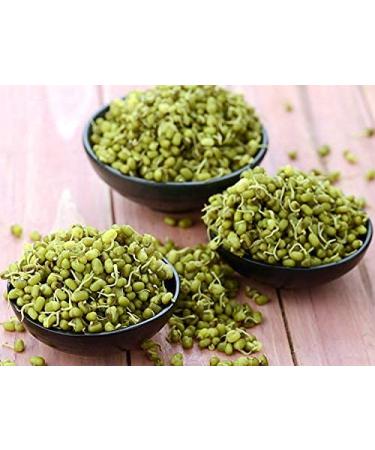 Jiva Organics 4 LB Large Bag Organic Mung Beans - Green Moong Beans - Buy Online on GoSupps.com