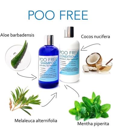 99% Natural SHAMPOO for OILY HAIR - ALOE VERA TEA TREE & MINT - 250 ml by POO FREE No Sulfates No Parabens. Concentrated Easy Rinse. pH 5.5 Suitable for Sensitive Skin. - Buy Online on GoSupps.com