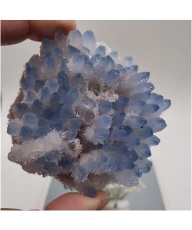 Natural Crystal Rough Rare Beautiful Blue Ghost Phantom Quartz Beautiful (Size : 400-500g) (Size : 300-400g) - Buy Online on GoSupps.com