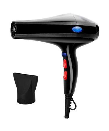 Professional Hair Dryer Salon Light 2200W Ion Hair Dryer Fast Drying Low Noise Fast Airflow Concentrator