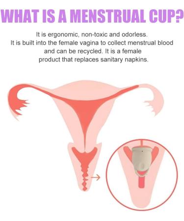 Buy MineUp Menstrual Cup Set - Medical Silicone Period Cup for Active Women | Beige Size S - Buy Online on GoSupps.com