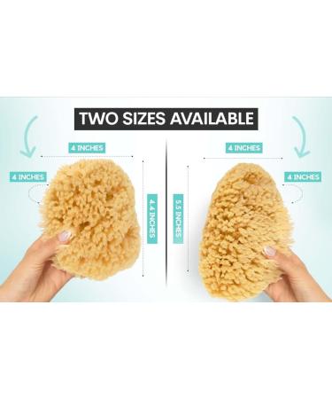 Buy XFO Sea Sponge - Natural Yellow 5.5in Loofah Alternative for Bathing & Exfoliating | All Natural USA Grown Sponges - Buy Online on GoSupps.com