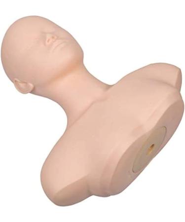 Mannequin Head - Manikin Head - with Shoulders External Carving Acupuncture Points for Acupuncture Point Beauty Practice Model for Beginners Constructive23 - Buy Online on GoSupps.com