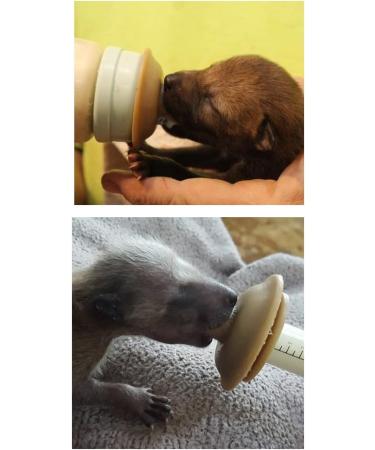 Miracle Nipple - Small Puppy - Ideal Nursing Nipple for Small to Medium Animals - Buy Online on GoSupps.com