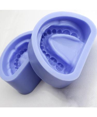2pcs Dental Plaster Model Mold - Complete Cavity Block for Professional Dental Supplies | International Shipping Available - Buy Online on GoSupps.com