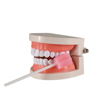 Disposable Untreated Oral Care Swabs  250 Count (PINK+plum) 250 PINK - Buy Online on GoSupps.com