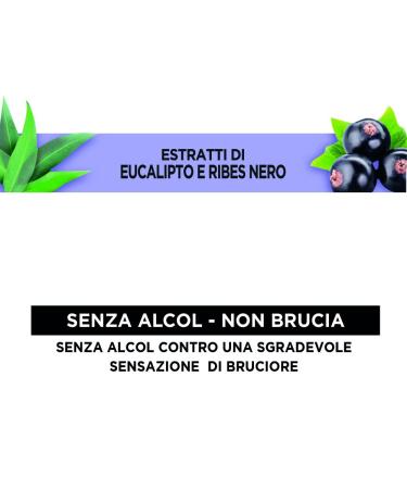 Buy Mentadent Mouthwash 5x Anti-Plaque Protection with CPC - Antibacterial Mouthguard 6 x 400 ml | International Shipping Available - Buy Online on GoSupps.com