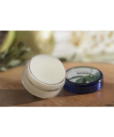 Kingfisher's Noni Body Balm Set Hydrating & Moisturizing Cream with Noni Oil & Camellia Butter, Gentle Care Balm, 2-Pack x 10g - Buy Online on GoSupps.com