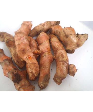 Fresh Yellow Turmeric Root - 1lb