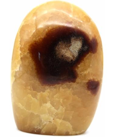 G n rique Madagascan Natural Septaria Stone 1200 g 130 mm - Buy Online on GoSupps.com