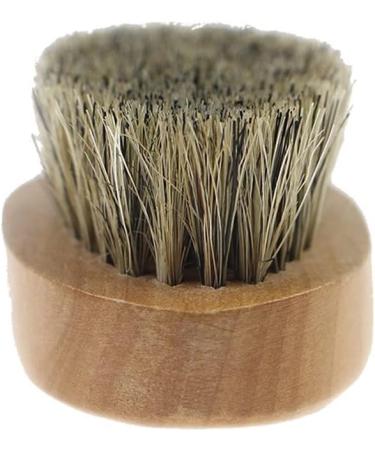 BbteK Combing Brush for Men and Women Shredded Hair Brush Bristles Beard Brush Shredded Hair Brush Hair Brush Wooden Comb Hair Comb Household Items Barber Comb Comb for Curly Hair Comb - Buy Online on GoSupps.com