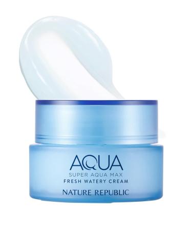 Nature Republic Super Aqua Max Fresh Watery Cream for Oily Skin 245 Gram